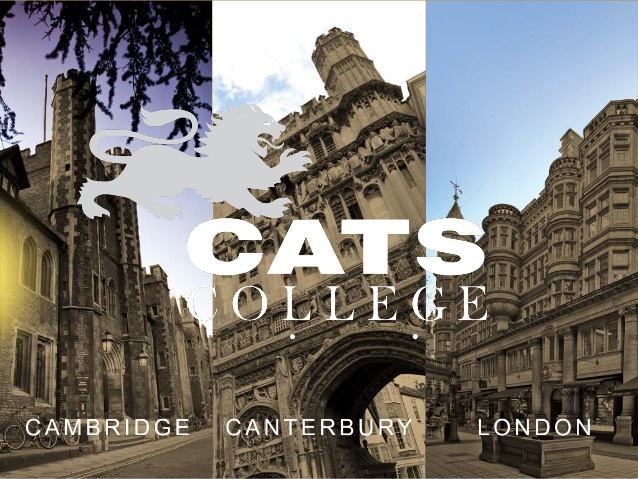 cats-college-presentation-dream-world