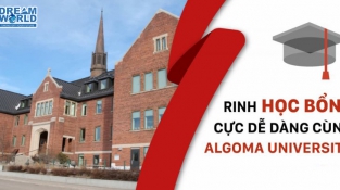 Học bổng Canada từ trường Đai học Algoma năm 2021