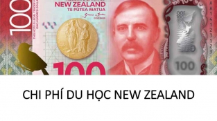 Chi phí du học New Zealand 2018 tốn bao nhiêu tiền?