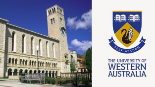 Lộ trình vào University of Western Australia: các ngành hot nhất tại trường G8 của Úc