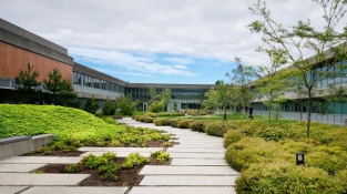 Simon Fraser University – Trường đại học top 50 thế giới