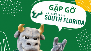 [Inforgraphic]Du học Mỹ Top 100 - học phí thấp nhất: University of South Florida
