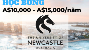 Đại học Newcastle Australia: Lựa chọn hoàn hảo và Học bổng tới A$10,000/năm